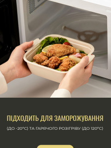 Портативный ланч бокс-органайзер 4в1 с гибкой ручкой полипропилен/полиэтилен 25,5х19,1х16,1 см зеленый