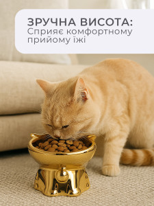 Миска высокая для кошек и собак на ножке-подставке керамическая 13,5х10 см Золотистая