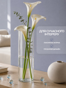 Ваза для квітів та сухоцвітів Циліндр TESLYAR скляна 25х10 см прозора