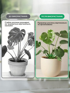 Фиксатор опора для комнатных растений комплект 4 штуки Пластиковые Зеленые